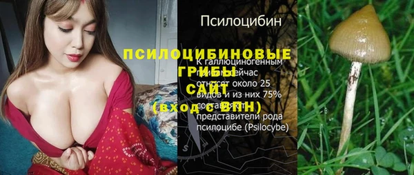 2c-b Белоозёрский