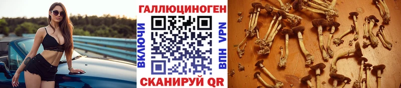 Псилоцибиновые грибы Magic Shrooms  Полесск 